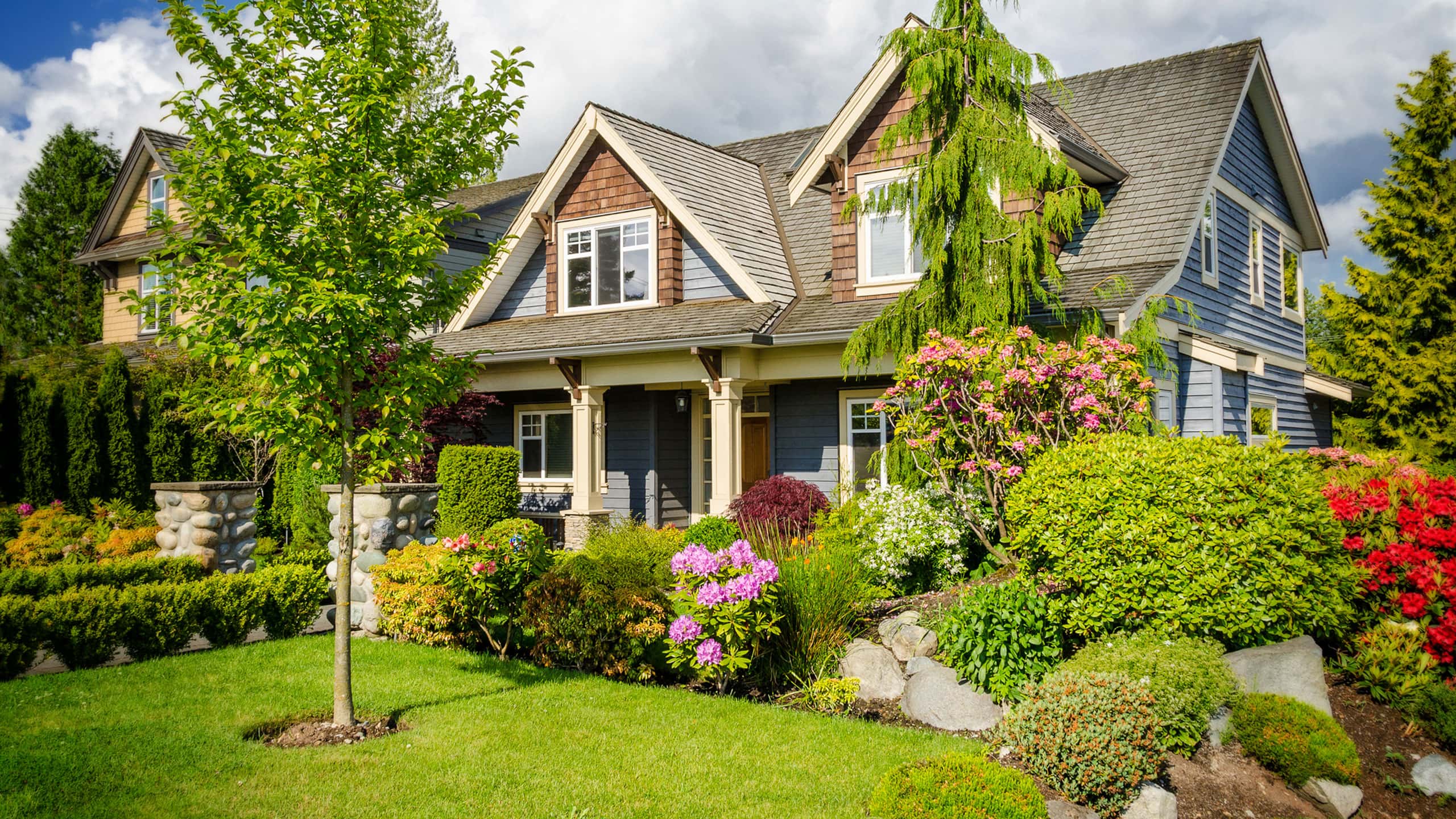 Hero Image 01
